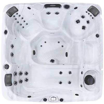 Avalon-X EC-840LX hot tubs for sale in McAllen
